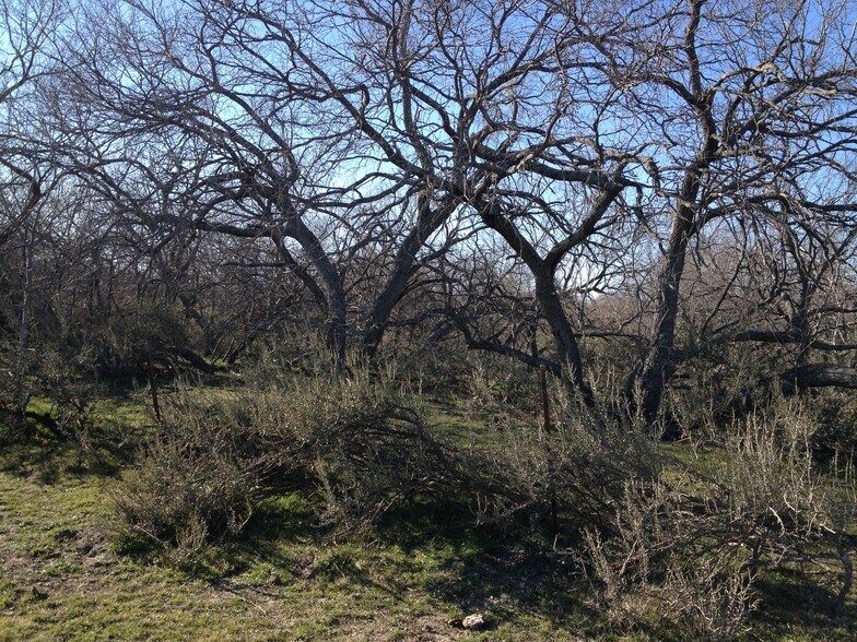 More Photos Of CR4110 CR 4110, Blooming Grove Land For Sale