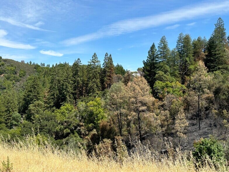 More Photos Of 4901 Stewarts Point Skaggs Springs Road, Geyserville Land For Sale