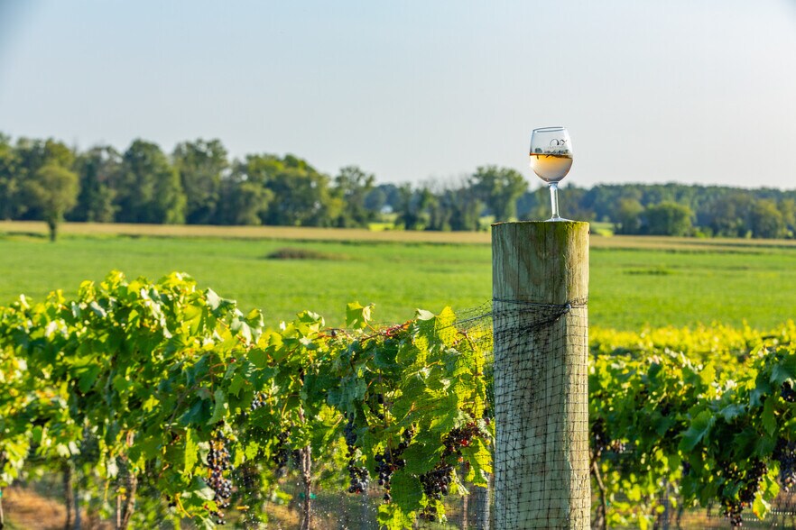 More Photos Of 27058 Mount Pleasant Rd, Columbus Winery Vineyard For Sale