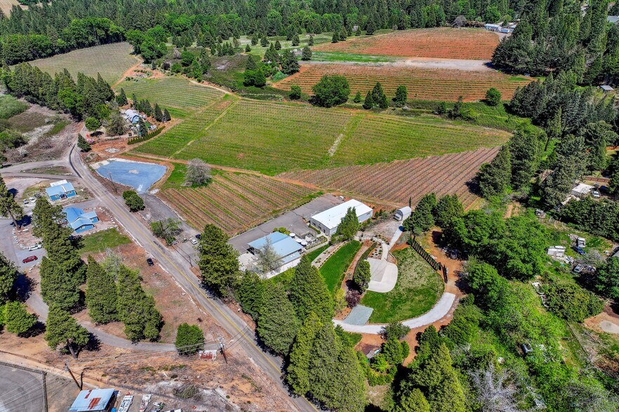 More Photos Of 2875 Larsen Dr, Camino Winery Vineyard For Sale