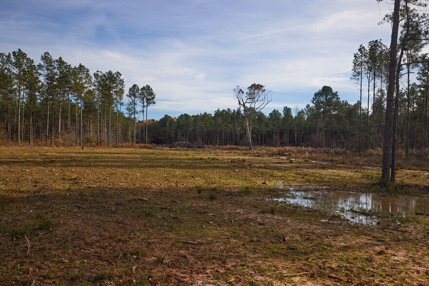 More Photos Of 480 Martin Rd, Cotton Valley Land For Sale