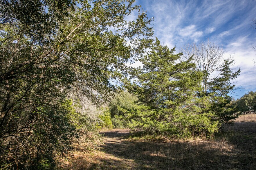 More Photos Of 11107 11107 Mt Falls School Rd, Washington Land For Sale