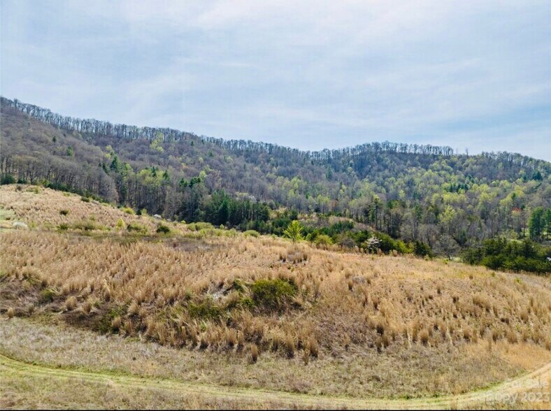 More Photos Of 87 Barnardsville Hwy, Weaverville Land For Sale