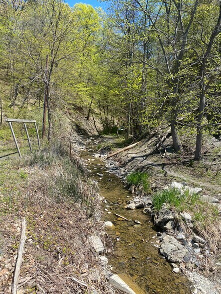 More Photos Of 7294 County Road 132, Ovid Land For Sale