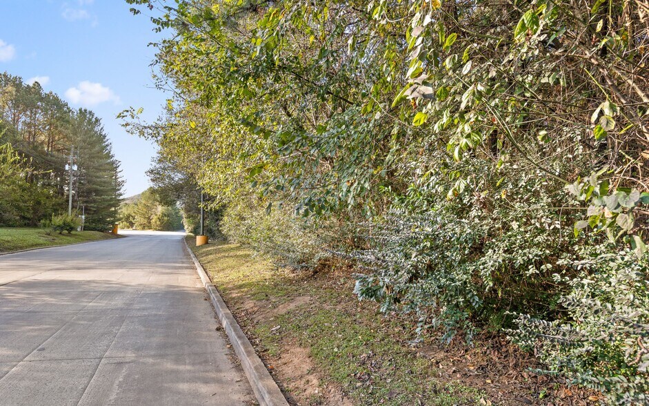 More Photos Of 0 Deer Head Cove Road, Rising Fawn Land For Sale