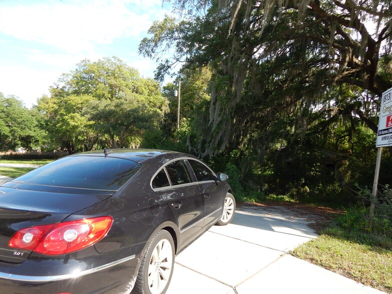 More Photos Of 30607 State Road 54, Wesley Chapel Land For Sale