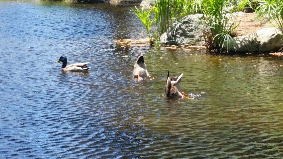 More Photos Of 1524 Brookhollow Dr, Santa Ana Coworking Space