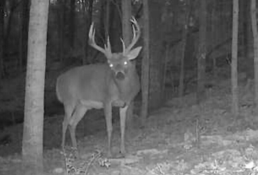 More Photos Of 2889 Tea Run Rd, Ewing Land For Sale