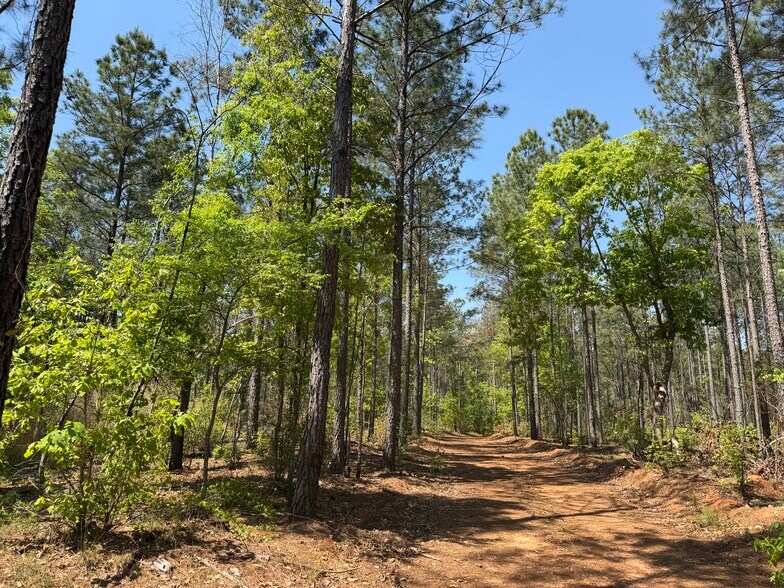 More Photos Of Hidden Harbor Road road, Lincolnton Land For Sale