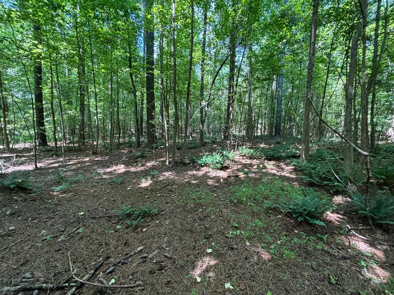 More Photos Of 1400 Happy Valley Farm Dr, Hillsborough Land For Sale