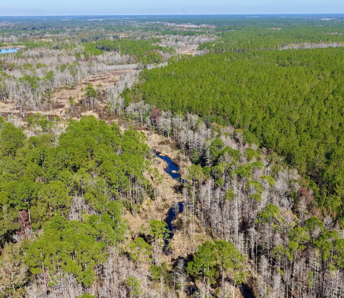 More Photos Of 4597 State 24 rd, Bronson Land For Sale