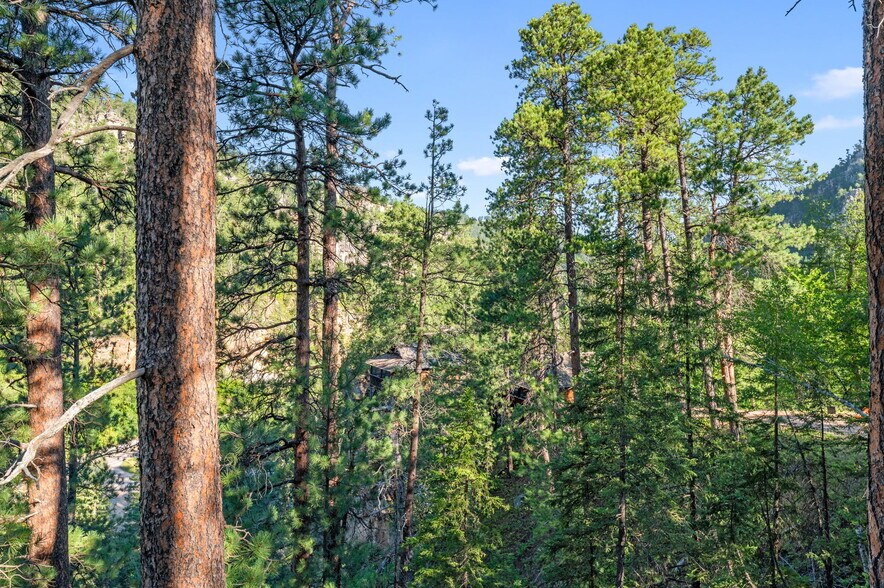 More Photos Of 10888 Rimrock Pl, Spearfish Hotel For Sale