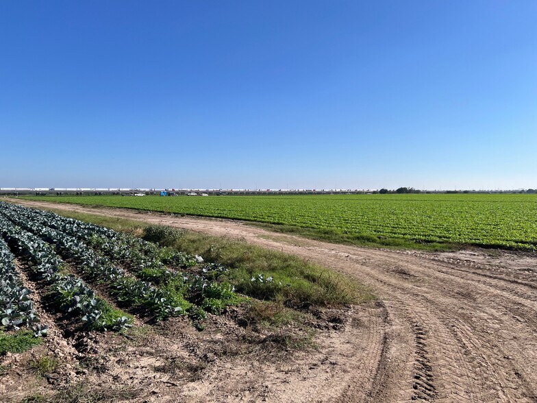 More Photos Of 271.62 Acs on West side of Pharr Intl. Bridge, Pharr Land For Sale