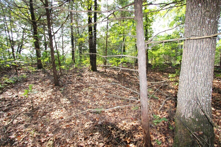 More Photos Of 226 Blythe rd, Greenbrier Land For Sale