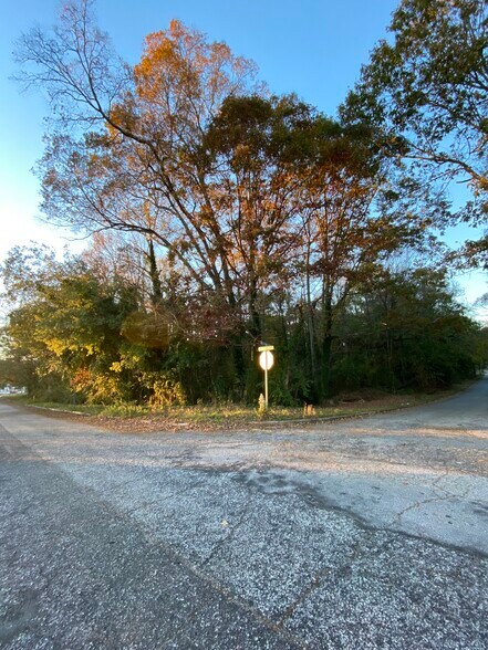More Photos Of 3276 Rufus Henderson Dr, Scottdale Land For Sale