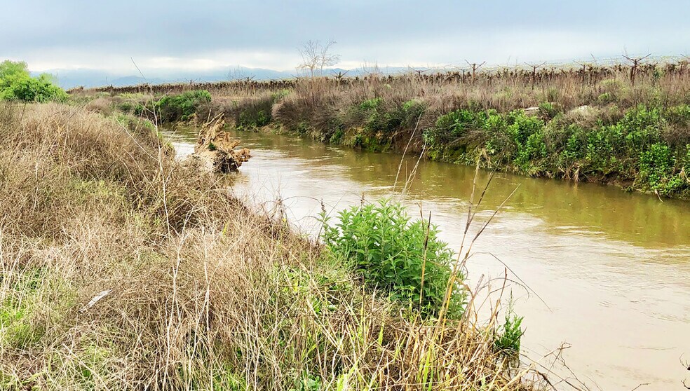 More Photos Of East of Highway 99 & North of Deer Creek Avenue, Earlimart Land For Sale