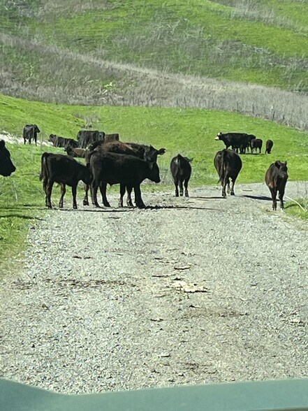 More Photos Of 6401 Camino Tassajara, San Ramon Land For Sale