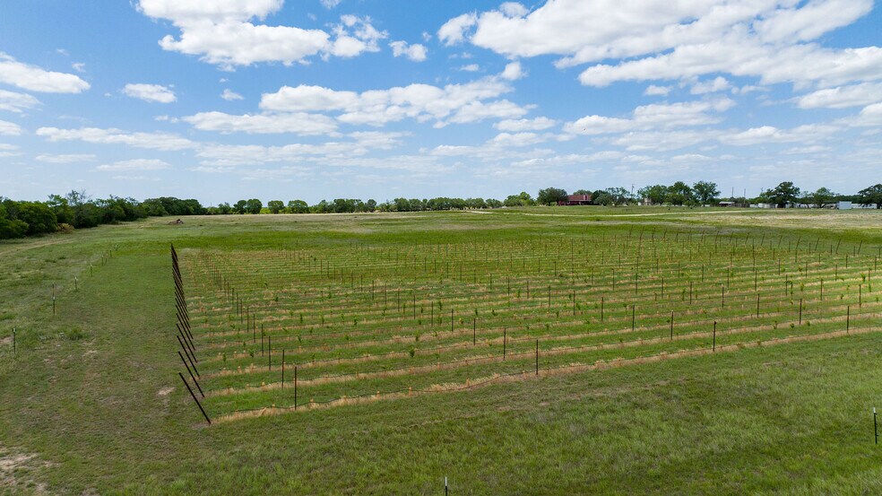 More Photos Of 8526 N FM 1744, Hico Land For Sale