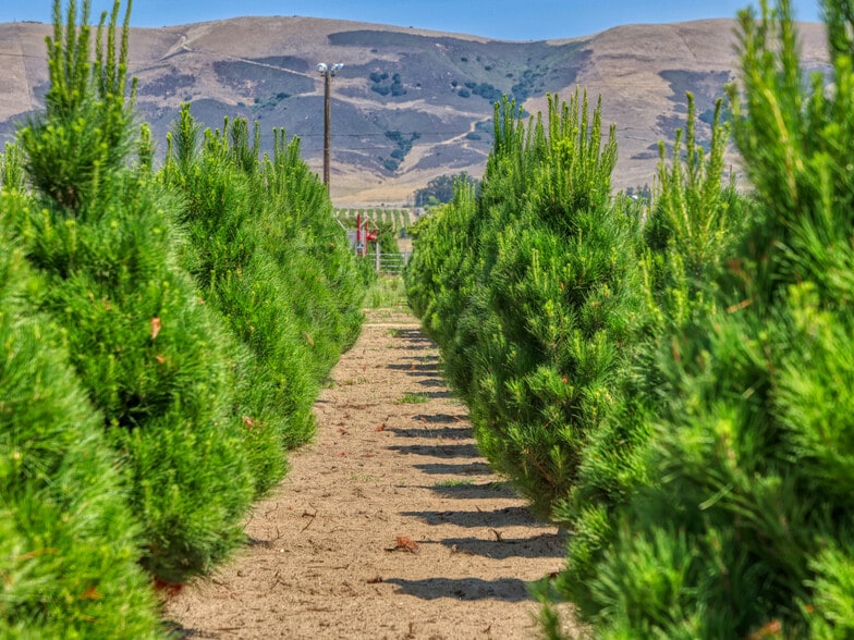 More Photos Of 424 Bermuda Pl, Nipomo Land For Sale