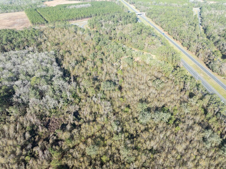 More Photos Of TBD 137, Wellborn Land For Sale