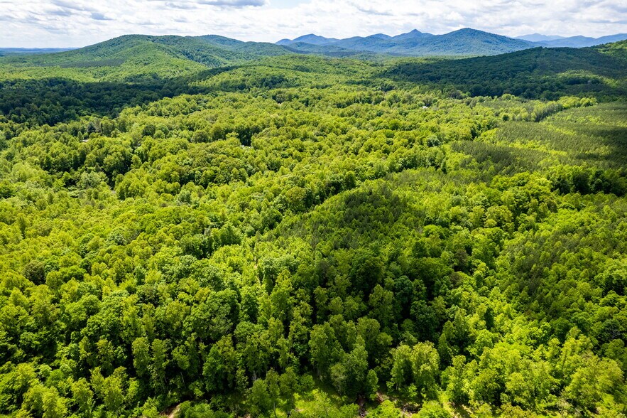 Primary Photo Of tbd Green Creek Rd, Schuyler Land For Sale