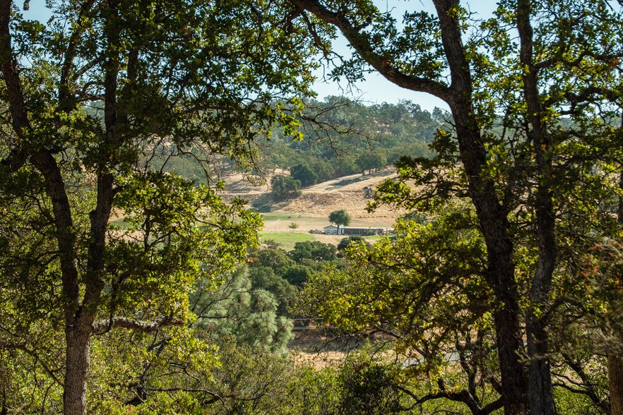 More Photos Of 4471 Buena Vista Rd, Ione Land For Sale