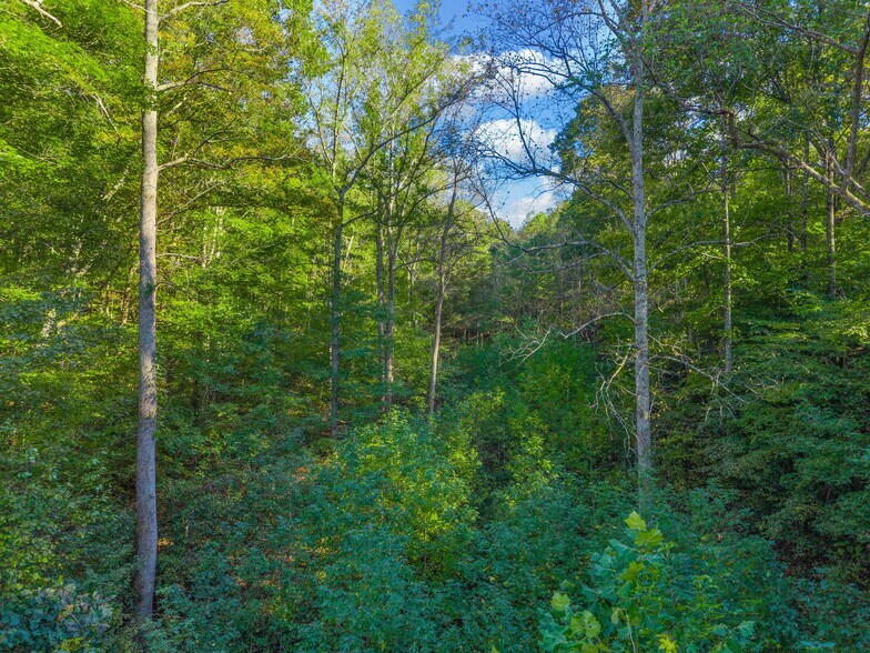 More Photos Of 0 Cox Hollow Rd, Dover Land For Sale