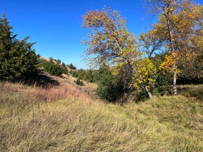 More Photos Of TBD Highway 1804, Pierre Land For Sale