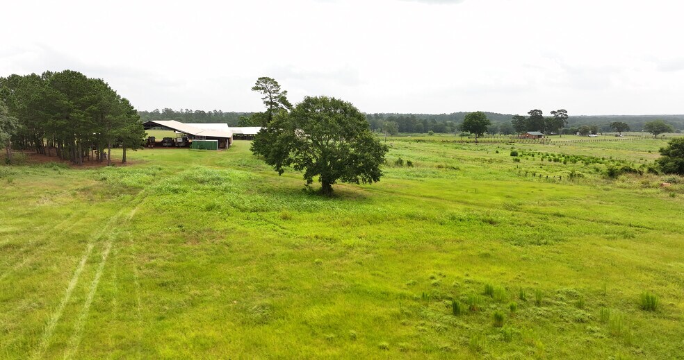 More Photos Of 44 Bucking Bull Rd, New Waverly Land For Sale