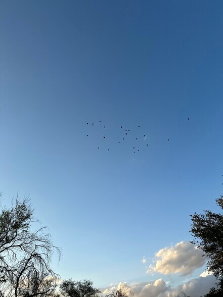 More Photos Of 00 Hwy 90 w, Castroville Land For Sale