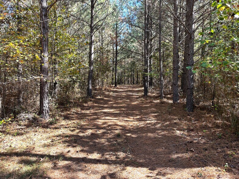 More Photos Of tbd Green Creek Rd, Schuyler Land For Sale