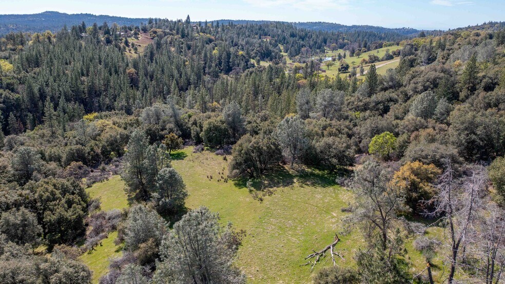 More Photos Of 18800 Charleston Rd, Volcano Land For Sale