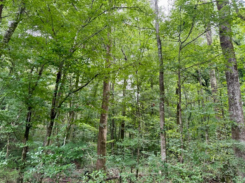 More Photos Of 2194 MS-570, Summit Land For Sale