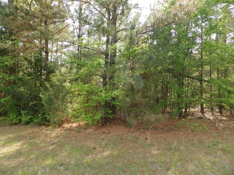 More Photos Of 19522 HWY 155, Flint Land For Sale