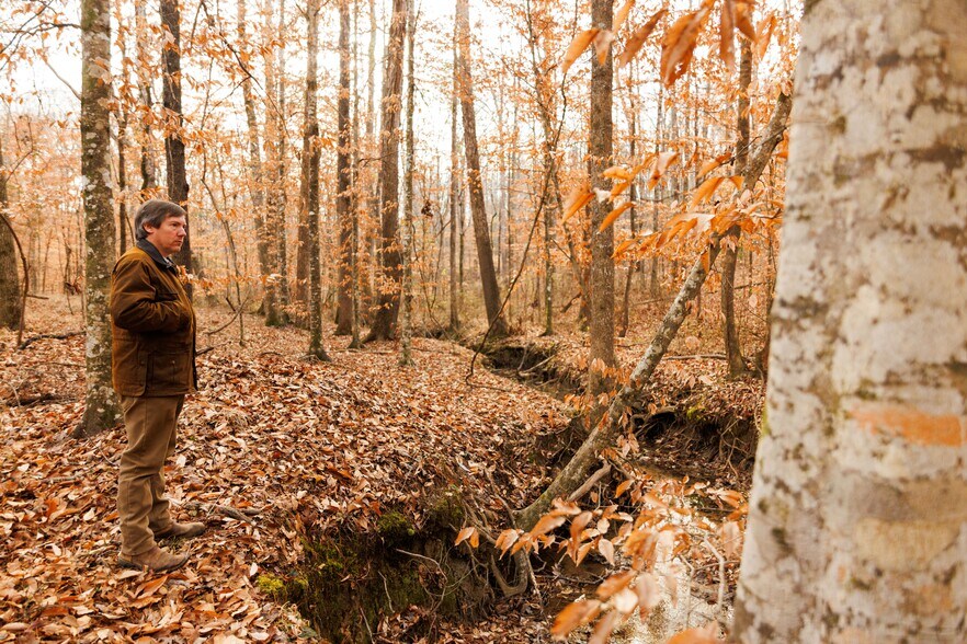 More Photos Of Jug Factory Road, Wetumpka Land For Sale