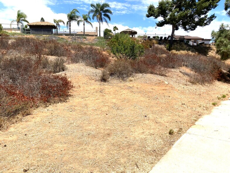 More Photos Of 0 Calle Los Arboles, Spring Valley Land For Sale