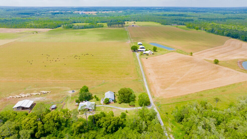 More Photos Of 24795 Hwy 32, Elberta Land For Sale