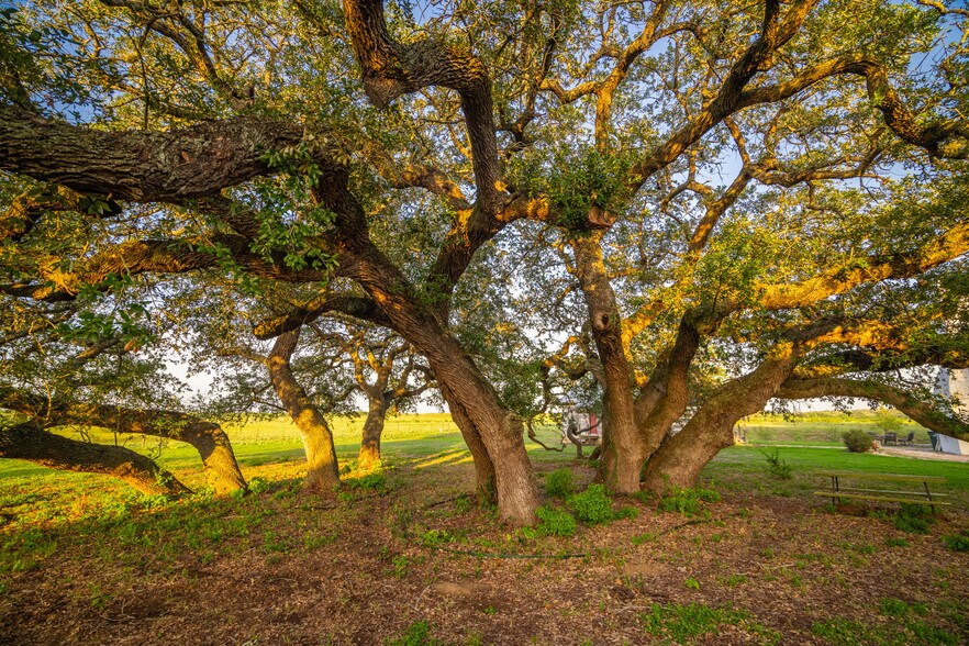 More Photos Of 5279 FM 1117, Nixon Land For Sale