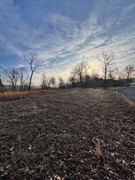 More Photos Of Willis Lane, Pea Ridge Land For Sale