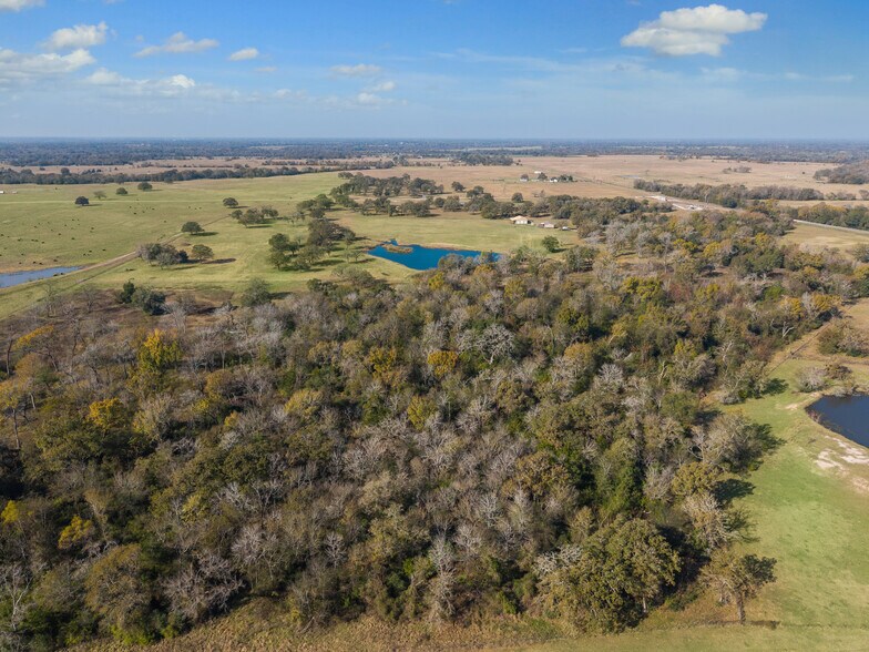 More Photos Of 4835 FM 1452 W, Madisonville Land For Sale