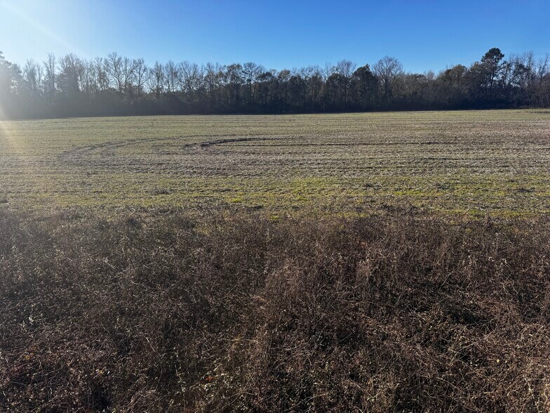 More Photos Of 0 Wiggins Road, Frisco City Land For Sale