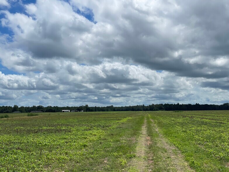 More Photos Of 5700 Pine Forest Rd, Walnut Hill Land For Sale