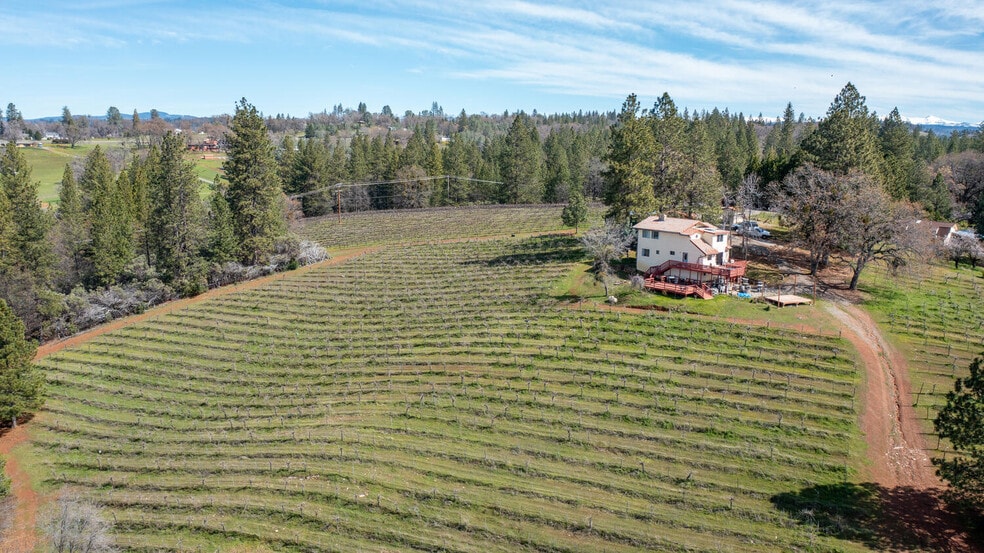 More Photos Of 4771 Greenhills Rd, Placerville Winery Vineyard For Sale
