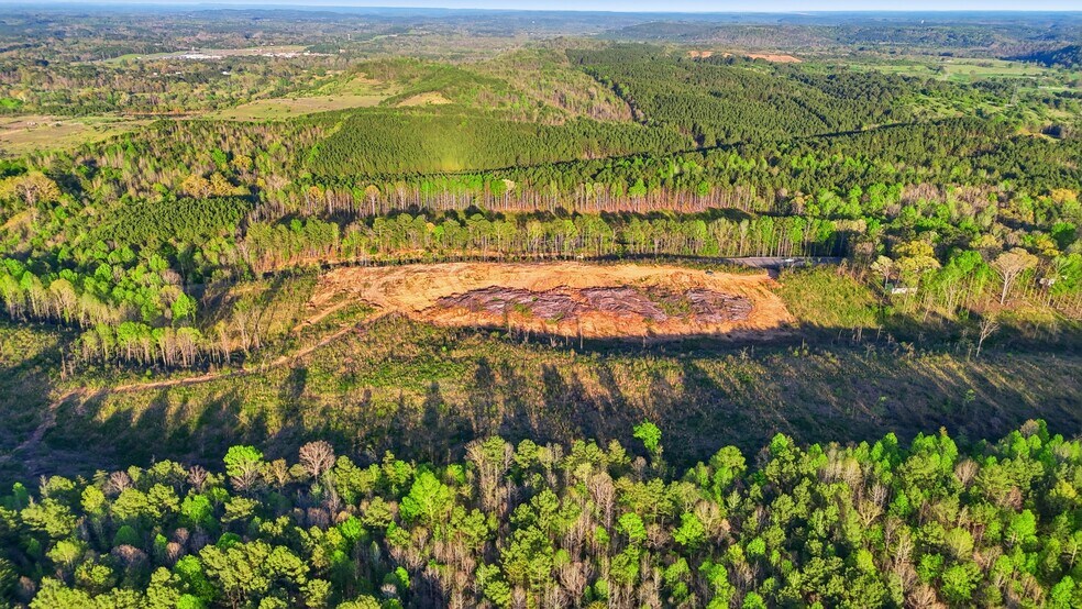 More Photos Of 0 Highway 269, Parrish Land For Sale
