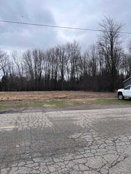 More Photos Of 338 Jackson, Coleman Land For Sale