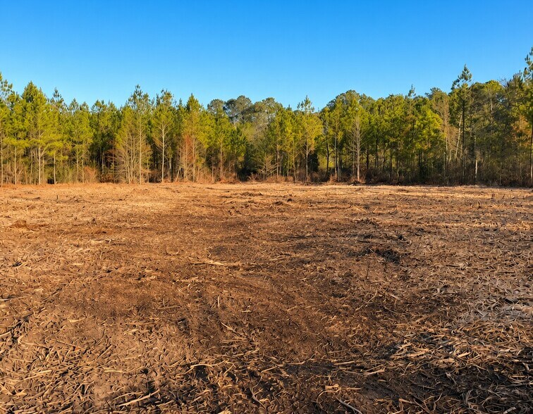 More Photos Of 319 - 547 Sisters Ferry Road, Ridgeland Land For Sale