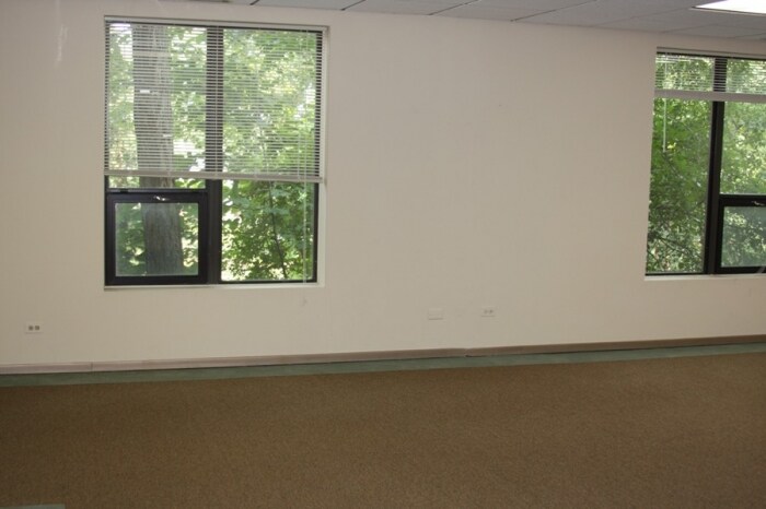 More Photos Of 123 E Lake St, Bloomingdale Office For Lease