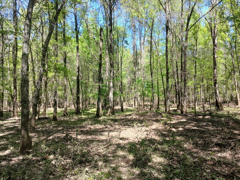 More Photos Of 414000 E 1920 Rd, Antlers Land For Sale