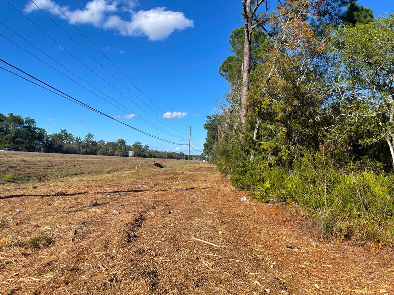 More Photos Of 9115 S Suncoast Blvd, Homosassa Land For Sale
