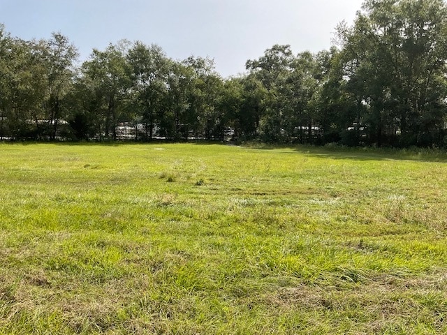 More Photos Of 2398 Pinemount Road, Lake City Land For Sale